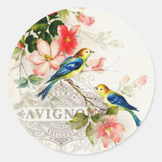 Vintage romantische französische Vogelgeschichte Runder Aufkleber