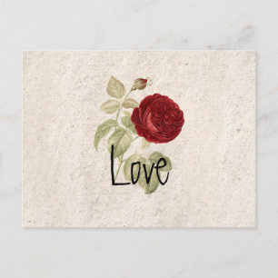 Vintage romantische Girly-Rote Rose Postkarte