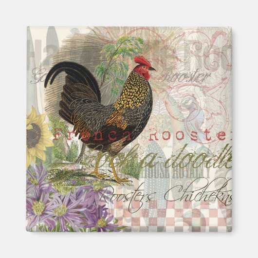 Vintage Rooster French Collage Farm Pet Magnet (Vorne)