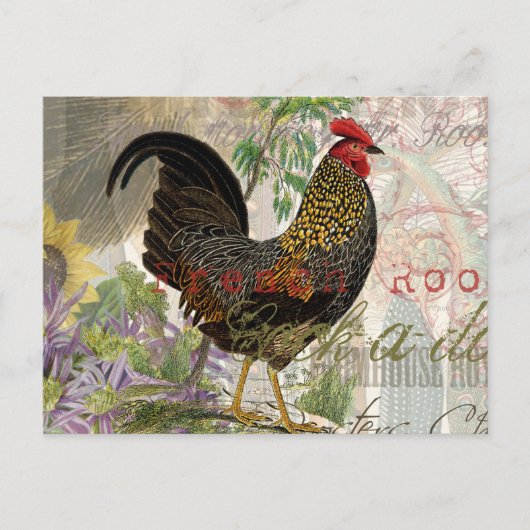 Vintage Rooster French Collage Farm Pet Postkarte (Vorderseite)