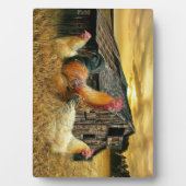 Vintage Rooster-Hühner Rustikaler Barcoop Fotoplatte (Vorderseite)