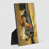 Vintage Rooster-Hühner Rustikaler Barcoop Fotoplatte (Seite)