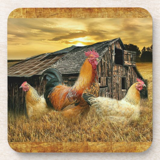 Vintage Rooster-Hühner Rustikaler Barcoop Getränkeuntersetzer (Vorderseite)