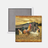 Vintage Rooster-Hühner Rustikaler Barcoop Magnet (Vorderseite/Rückseite)