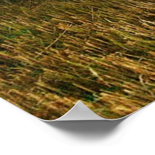 Vintage Rooster-Hühner Rustikaler Barcoop Poster (Ecke)