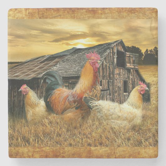 Vintage Rooster-Hühner Rustikaler Barcoop Steinuntersetzer (Vorderseite)