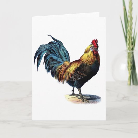 Vintage Rooster Karte (Vorderseite)