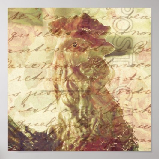 Vintage Rooster mit Textur Square Crop Poster (Vorne)