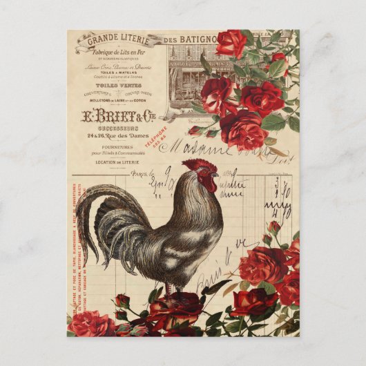 Vintage Rooster Postkarte (Vorderseite)