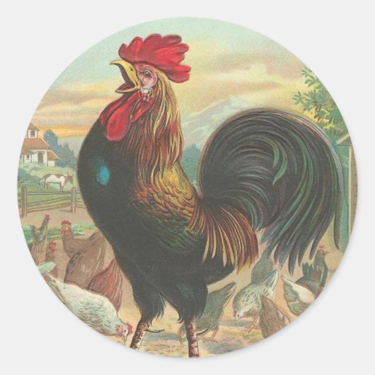 Vintage Roosteraufkleber Runder Aufkleber (Vorderseite)