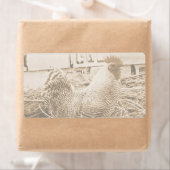 Vintage Roosterfotografie (Insitu)