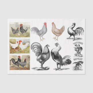 Vintage Roosters Hühner-Entdeckungskette Seidenpapier