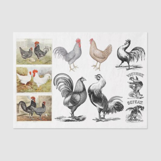 Vintage Roosters Hühner-Entdeckungskette Seidenpapier (Vorderseite)