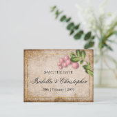Vintage rosa Berries Hochzeit speichern das Datum Ankündigungspostkarte (Stehend Vorderseite)