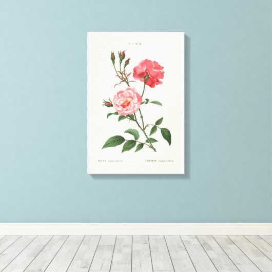 Vintage Rosa-Blume Leinwanddruck (Insitu (Holzboden))