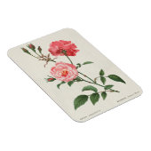 Vintage Rosa-Blume Magnet (Rechte Seite)