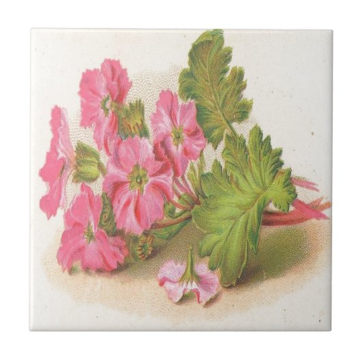 Vintage, rosa Blumen, grünes Blätter, Fliese (Vorderseite)