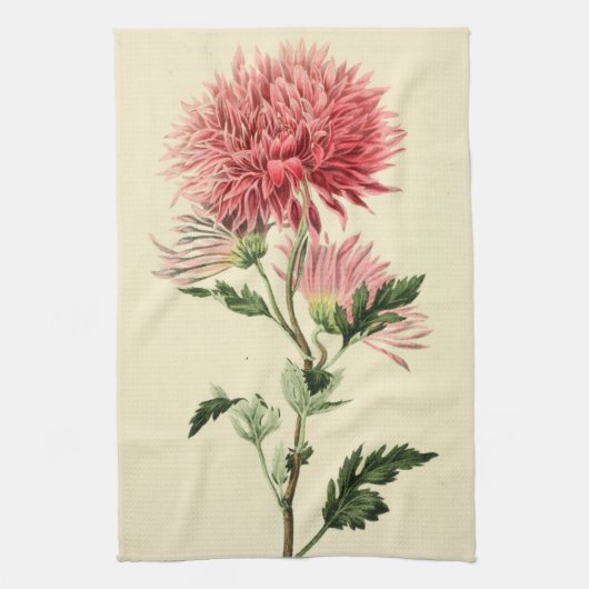 Vintage rosa Chrysantheme-Blume Handtuch (Vertikal)