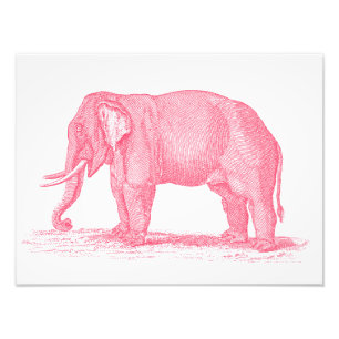 Vintage rosa Elefant 1800s Elefant-Illustration Fotodruck