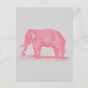 Vintage Rosa Elefant auf Grau 1800er Elefanten Postkarte