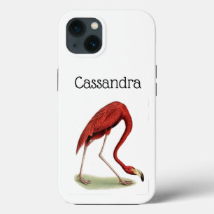 Vintage Rosa Flamingo #1 Case-Mate iPhone Hülle