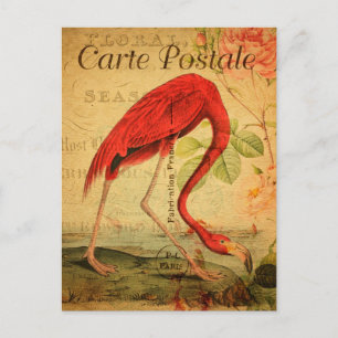 Vintage Rosa Flamingo Floral Französische Carte Po Postkarte