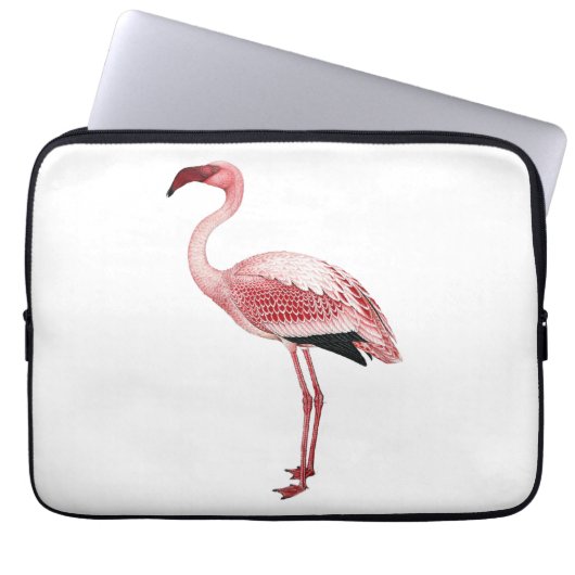 Vintage rosa Flamingo-Malerei Laptopschutzhülle (Vorderseite)