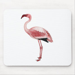 Vintage rosa Flamingo-Malerei Mousepad