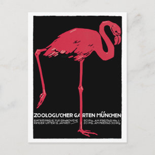 Vintage Rosa Flamingo München Zoo Postkarte