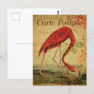 Vintage Rosa Flamingo Postkarte