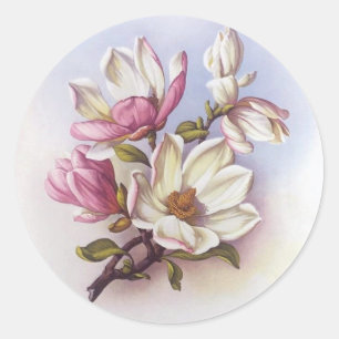 Vintage-Rosa-Magnolie Retro-Botanik-Aufkleber Runder Aufkleber