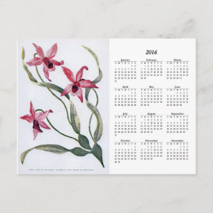 Vintage-Rosa-Orchidee 2016 Blumenkalender-Postkart Postkarte