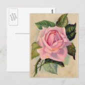 Vintage Rosa Postkarte (Vorne/Hinten)