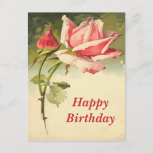 Vintage Rosa Postkarte