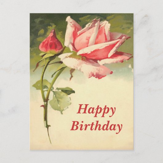 Vintage Rosa Postkarte (Vorderseite)