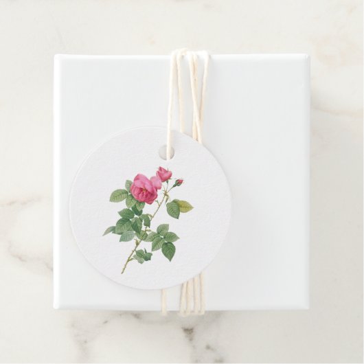 Vintage rosa Rose Botanisch Geschenkanhänger (Beispiel)