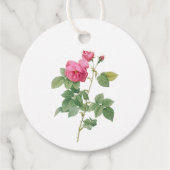 Vintage rosa Rose Botanisch Geschenkanhänger (Vorderseite)