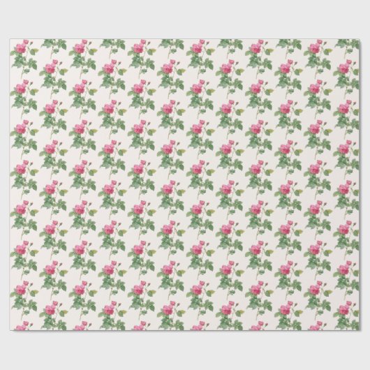 Vintage rosa Rose Botanisch Geschenkpapier (Flach)