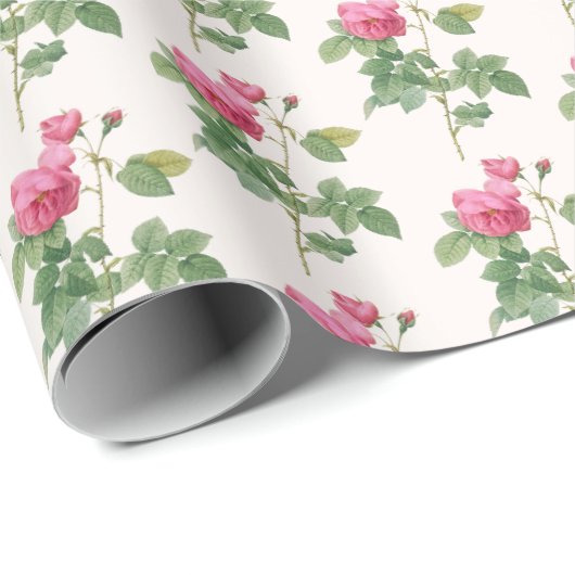 Vintage rosa Rose Botanisch Geschenkpapier (Rolleneckpunkt)