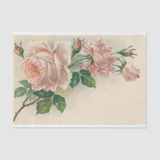 Vintage rosa Rose Seidenpapier (Vorderseite)