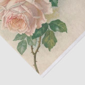 Vintage rosa Rose Seidenpapier (Ausschnitt)