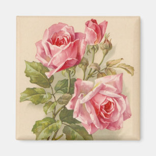 Vintage rosa Rosen Magnet
