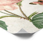Vintage Rosa und Schmetterling Poster (Ecke)