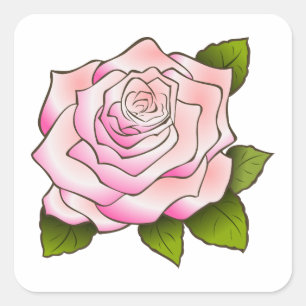 Vintage-Rosa-Zeichnung Quadratischer Aufkleber
