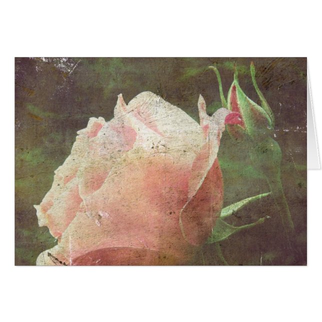 Vintage Rose (Vorderseite (Horizontal))