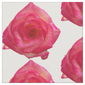 Vintage Rose auf Baumwollgewebe Stoff (Nahaufnahme)