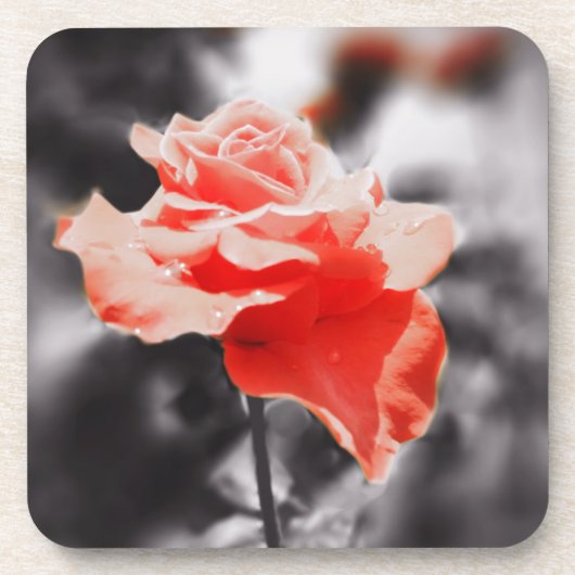 Vintage Rose Blume #2 Getränkeuntersetzer (Vorderseite)