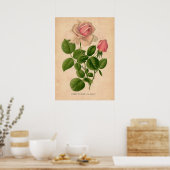 Vintage Rose Druckplakat Poster (Küche)
