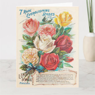 Vintage Rose farbenfroh Schönes Ephemera Gruß Karte