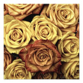 Vintage Rose Fotodruck (Vorne)
